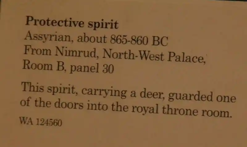 Solar disc on the wrist of the protective spirit